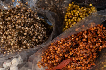 close up of a pile of dried corn seeds