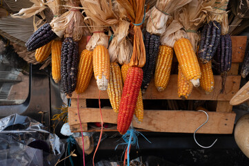 corn cubs on the market