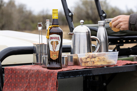 Amarula liquor, coffee, and cookies set out for a coffee break during a safari in South Africa.  A hand with a cookie.