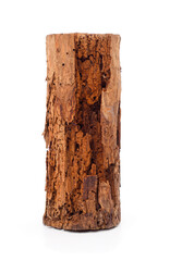 Decayed wooden log with termite damage isolated on white background.