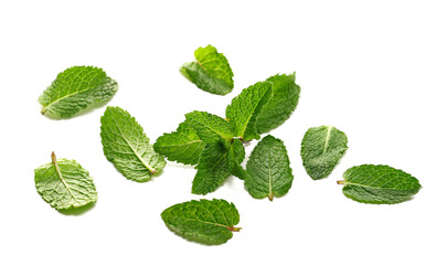 Fresh mint leaves isolated on white background, side view
