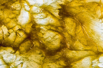 Abstract texture of yellow bearing grease illuminated from below, forming organic shapes, reflections, and patterns resembling the fluid energy of mechanics