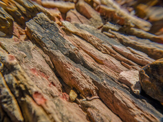 Wide angle macrophotography of the stone formations of the La Candelaria desert, in the eastern Andean mountains of central Colombia, near the town of Raquira.