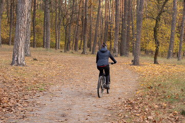 Fototapeta premium A solitary cyclist's journey through an autumnal forest, clad in a dark grey, hooded jacket, with the hood pulled up, obscuring any hint of their face or hair.