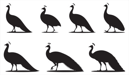 Fototapeta premium Elegant Peacock Silhouettes Set – Minimal Vector Collection of Exotic Birds in Graceful Poses