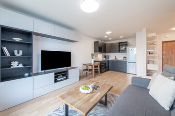 Modern Open-Plan Living Room and Kitchen with Sleek Furniture and Decor