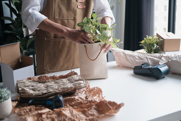 startup SME owner markets small plants for green living and environmental promotion