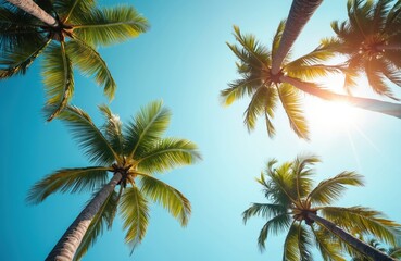 Naklejka premium Tall palm trees reach towards a clear blue sky on a bright, sunny day. Lush green fronds cast gentle shadows below. This scene evokes a warm tropical feeling perfect for vacation or relaxation themes.