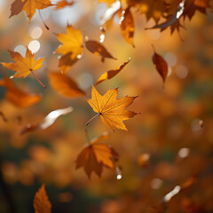 Autumn leaves falling gently from trees with warm orange tones  