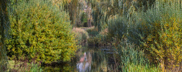 Little canal overgrown by bushes and trees. The surrounding houses can only be seen in the reflection of the water. Good example of urban greening in The Netherlands.