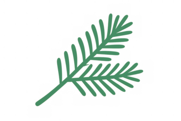 Green pine or fir tree branch flat illustration clipart for winter season and christmas holiday decor