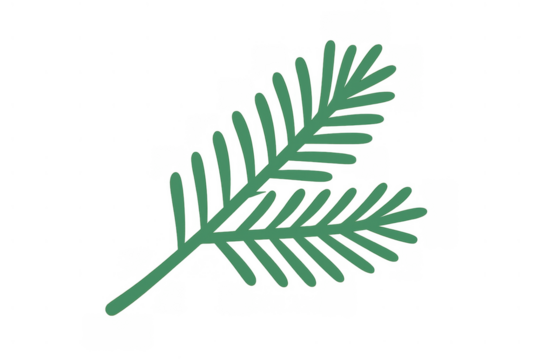 Green pine or fir tree branch flat illustration clipart for winter season and christmas holiday decor