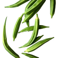 Photo of fresh, green okra pods isolated on transpatent background