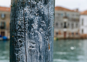 Weathered wooden post by water with historic buildings in background