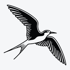 Obraz premium Tern line art White background illustration Generative Ai