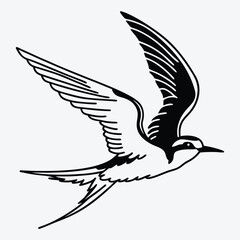 Tern line art White background illustration Generative Ai