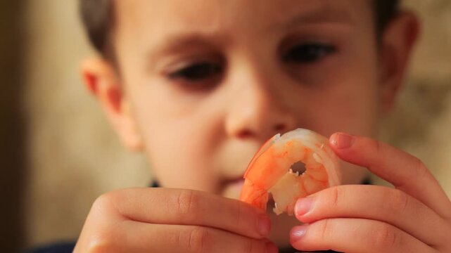 A child holds a single cooked shrimp up to his face
