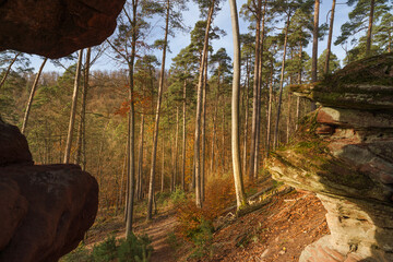 vue encadré par le rocher sur la forêt