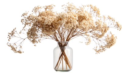 Transparent glass rectangle vase with water holding delicate dried baby’s breath branches. Minimalist floral decor, perfect for modern interiors, branding, and design projects.