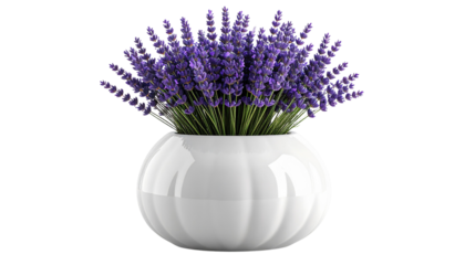 Oval white ceramic vase with beige texture, filled with lavender branches. Minimal, elegant floral decor for home styling, modern design, branding, or digital creative projects.