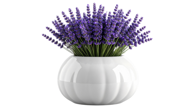 Oval white ceramic vase with beige texture, filled with lavender branches. Minimal, elegant floral decor for home styling, modern design, branding, or digital creative projects.