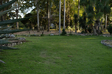 Obraz premium parque botanico republica dominicana