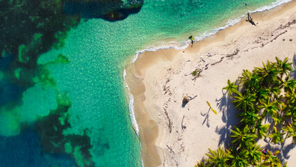 playa punta cana republica dominicana