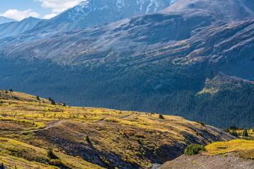Wilcox Pass Trail in autumn off the Icefields Parkway in the Banff National Park