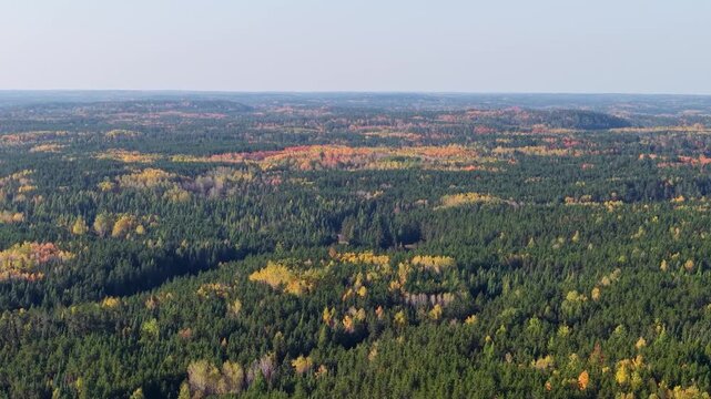 MINNESOTA - 10.31.2025 - Amazing aerial footage crossing an autumnal Minnesota forest includes trees with colorful leaves.