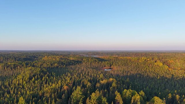 MINNESOTA - 10.31.2025 - Gorgeous aerial footage moving over a vast Minnesota forest with lakes.