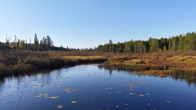 MINNESOTA - 10.31.2025 - Incredible aerial footage moving low across a river in a Minnesota forest.