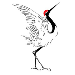 Red-Crowned Crane Line Art vector illustration