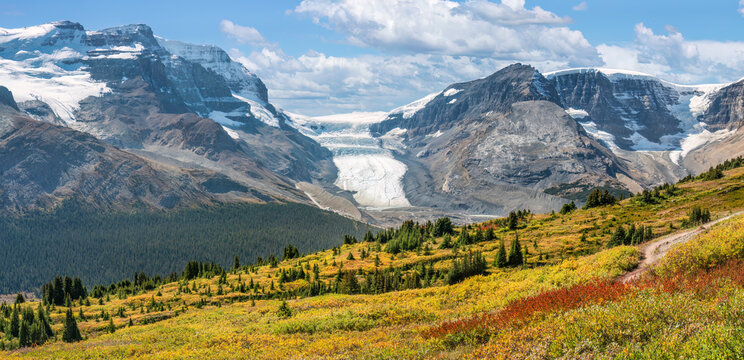 Wilcox Pass Trail with view of the Athabasca Glacier at the Columbia Icefield on the Icefields Parkway - Jasper National Park - Autumn