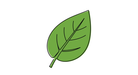 Simple green leaf illustration with visible veins and a slender stem