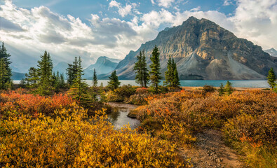 Autumn fall foliage colors in the morning at Bow Lake on the Icefields Parkway -Banff National Park - Canada
