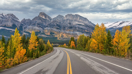 Autumn colors at the Saskatchewan river crossing on the Icefields Parkway - Banff national Park