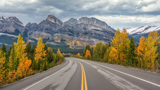 Autumn colors at the Saskatchewan river crossing on the Icefields Parkway - Banff national Park