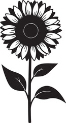 Black silhouette of a sunflower with leaves on a white background plant nature on transparent background