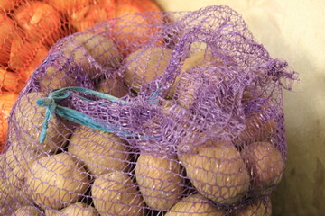 Potatoes and Onions in Bags Autumn Harvest