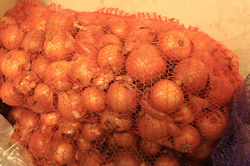 Potatoes and Onions for Wholesale Fresh Autumn Vegetables