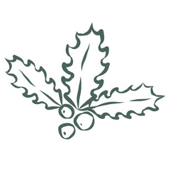 Holly Branch. Line Art Illustration.