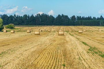 A haystack left in a field after harvesting grain crops. Harvesting straw for animal feed. End of...