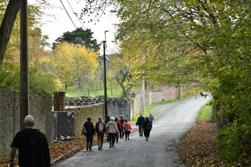 Fototapeta premium Promenade le long du mur d'enceinte du château de la Follie à Écaussinnes-Lalaing (Soignies)