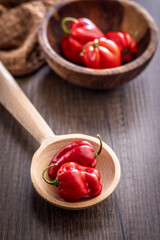 Red chili pepper habanero on wooden spoon on wooden table.