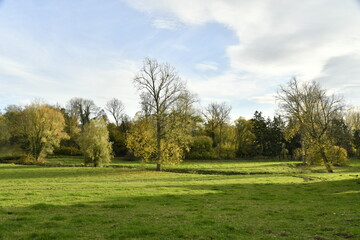 Prairie en automne à Écaussinnes-Lalaing (Soignies)