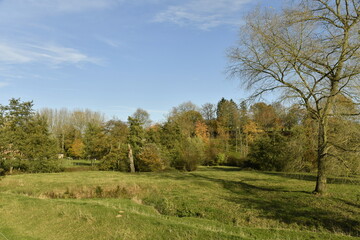 Les arbres d'un bois en automne à Écaussinnes-Lalaing (Soignies)