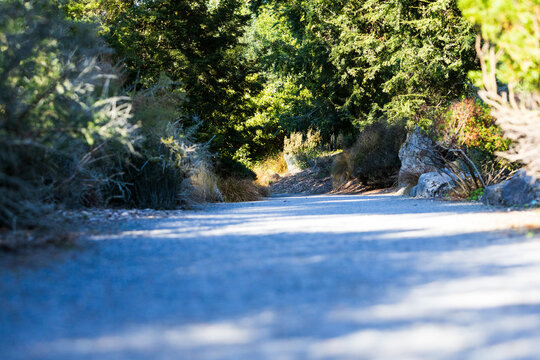 Park pathway on cool summer day