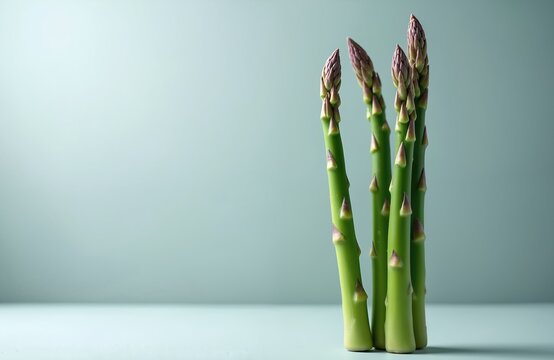 Several fresh green asparagus spears stand tall against simple light blue backdrop. Vibrant color, detailed texture clearly visible. Ready for cooking, offering healthy ingredient for meals.