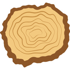 Wood Slice Cross Section With Growth Rings On A White Background