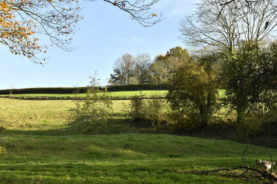 Les prairies entre ombres et sous le soleil d'automne à Écaussinnes-Lalaing (Soignies)